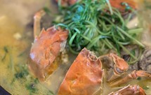 应季的农家菜-鲫鱼大闸蟹烫豆腐豆苗