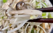 蟹味菇炒绿豆芽