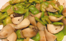 消耗蚕豆之蚕豆瓣草菇