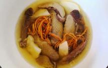 老鸽椰子汤（鸽子&椰子）