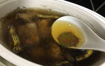 灵芝花旗参石斛猪骨汤