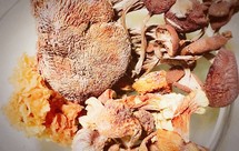 猴头菇姬松茸骨头汤