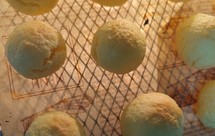 椰子油淡奶油版椰蓉球