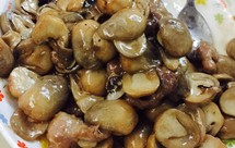 菇类中的至愛--草菇炒肉片