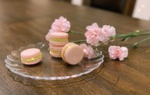 抹茶奶油芝士马卡龙