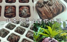 浓郁十足的巧克力雪山迷你吐司，玲珑小巧，太安逸了