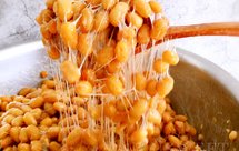 自制纳豆（酸奶机，面包机，烤箱版）