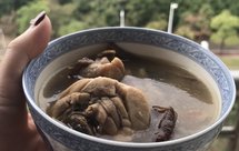 宿舍版姬松茸茶树菇鸡汤