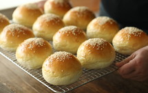 松软烫种汉堡胚