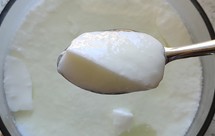 奶粉自制酸奶，不用酸奶机，烧开一锅水就ok