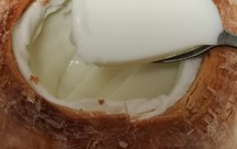 一个椰子冻-低糖奶粉无椰浆