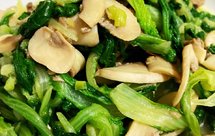 好吃的口蘑小白菜苗