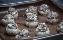 烤西葫芦蘑菇酿肉