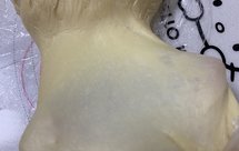 冷藏大法不用揉直接出手套膜