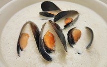 洋葱蘑菇奶油浓汤 生酮低碳水