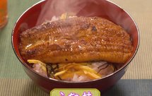 【犒赏饭】蒲烧鳗鱼盖浇饭「うな丼」
