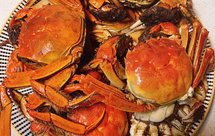 大闸蟹这样做不寒！超香！超好吃！香煎蟹!