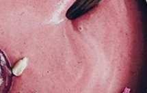 健康（假的）巧克力冰淇淋 高蛋白