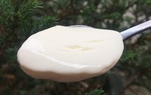 多种酸奶做法(酸奶机版）