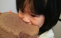 可蒸可烤的黑米糕