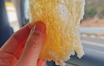 波兰种，酸奶南瓜蜂蜜椰子油吐司