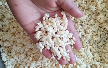 大米花（见证奇迹的时刻，不可错过！）