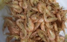 家庭版香酥油炸小河虾