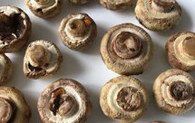 空气炸锅之口蘑