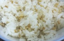 新新手零失败白米饭