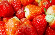 酸甜可口草莓酱