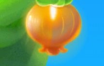 33 自制高筋面粉和低筋面粉