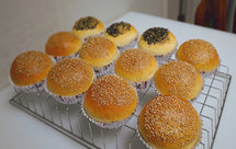 全麦汉堡胚（波兰种）