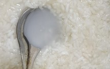 自制甜酒酿零失败（酸奶机版）