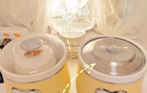 蒸锅/电压力锅版 糯米甜酒酿（多人份）从此实现酒酿自由！超详细版，加油，祝你一次成功呀！