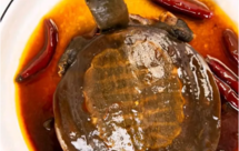 家庭版麻辣甲鱼