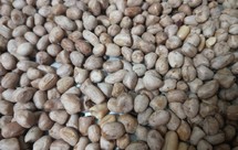 自制五香花生米