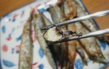 香煎多春鱼：爱吃鱼籽的入