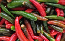 长期保存小米辣的方法