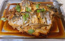 家常炖白鲢鱼 红烧鱼