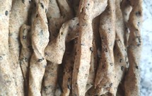 无糖全麦粉扭扭棒饼干