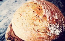 外表香脆内心柔软，油管看了不下20个视频综合出来的平民版波兰种欧包