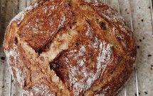 波兰种全麦欧包（70%全麦粉配方）