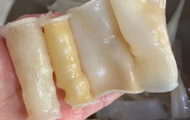 鳗鱼胶炖骨头汤