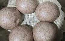 杂粮馒头一：黑全麦面粉馒头