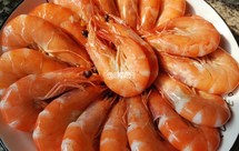 基围虾，做白灼、味道最鲜的吃法，没有之一