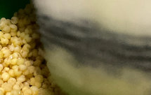 小鹦鹉的蛋小米（炒制）