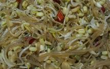 凉拌粉条豆芽