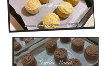 低卡低碳高蛋白全麦可可芋泥肉松月饼、椰子粉南瓜月饼