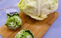 仿真大头菜青团