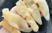 详细的黄花胶泡发方法（适用大部分鱼胶）